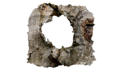 Download Stock Image: Broken Wall 2 Transparent HD 7K
