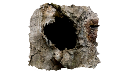 Download Stock Image: Broken Wall HD 7K