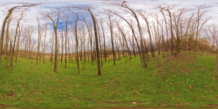 Download Stock Image: HDRI Nature HDR HD