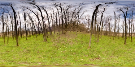 Download Stock Image: HDRI Nature HDR HD