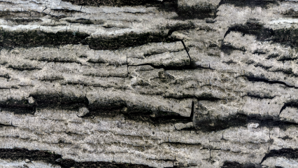 Download Stock Image: Seamless Grunge HD 7K