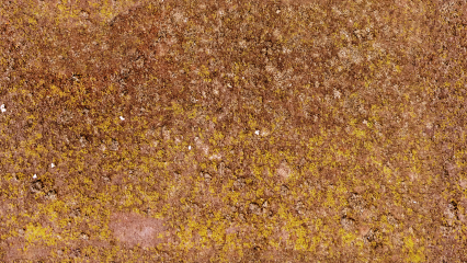 Download Stock Image: Seamless Grunge HD 7K