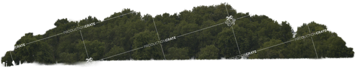 Tree Wall HD 5K Stock Image
