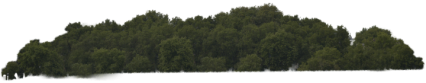Download Stock Image: Tree Wall HD 5K