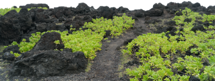 Download Stock Image: Black Terrain HD 8K