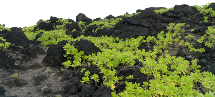 Download Stock Image: Black Terrain HD 8K