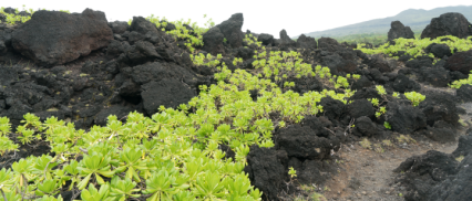 Download Stock Image: Black Terrain HD 8K