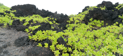 Download Stock Image: Black Terrain HD 8K