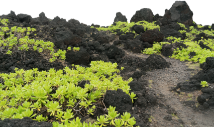 Download Stock Image: Black Terrain HD 8K