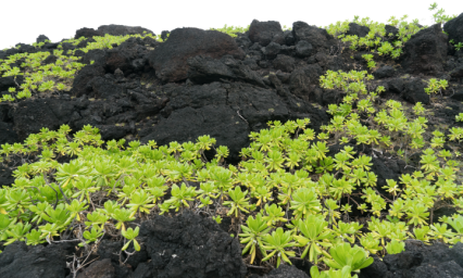 Download Stock Image: Black Terrain HD 8K
