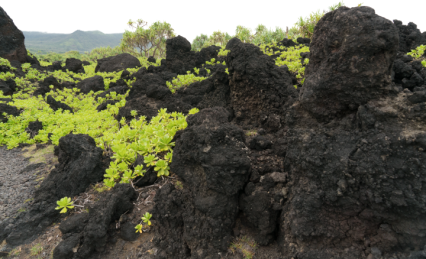 Download Stock Image: Black Terrain HD 8K