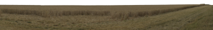 Download Stock Image: Crop Field HD 18K