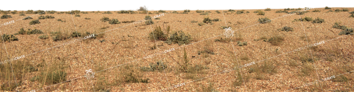 Desert Landscape Extension HD 4K Stock Image