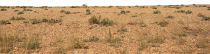 Download Stock Image: Desert Landscape Extension HD 4K