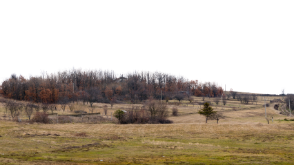 Download Stock Image: Landscape Fields HD 7K