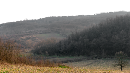 Download Stock Image: Landscape Fields HD 7K
