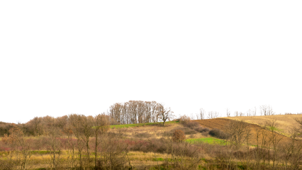 Download Stock Image: Landscape Fields HD 7K