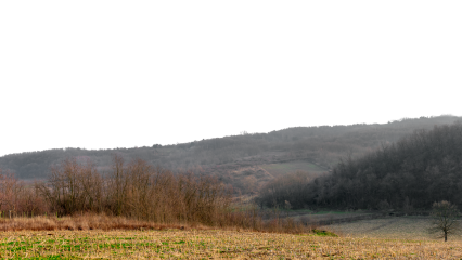 Download Stock Image: Landscape Fields HD 7K