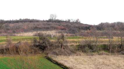Download Stock Image: Landscape Fields HD 7K