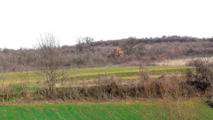 Download Stock Image: GraphicsCrate Landscape Fields HD 7K