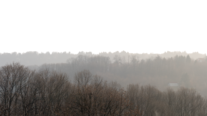 Download Stock Image: GraphicsCrate Landscape Foggy Dead Forest HD 7K