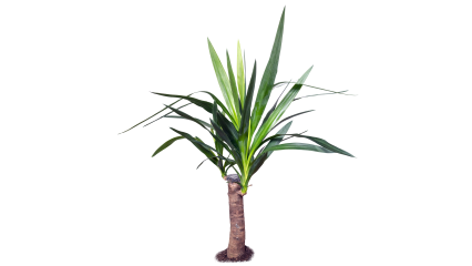 Download Stock Image: Plant Potted HD 7K