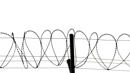 Download Stock Image: Barbed Wire HD 7K