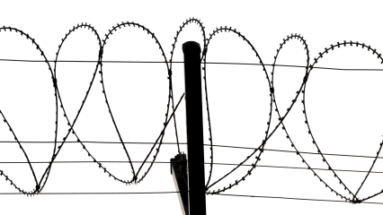 Download Stock Image: Barbed Wire HD 7K