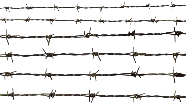 Barbed Wire HD 7K Stock Image