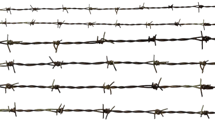 Download Stock Image: Barbed Wire HD 7K