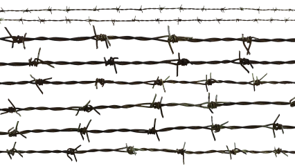 Download Stock Image: Barbed Wire HD 7K