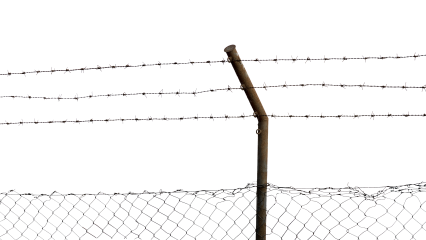 Download Stock Image: Barbed Wire Fence HD 7K