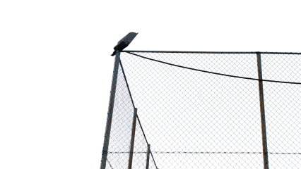 Download Stock Image: Security Fencing HD 7K