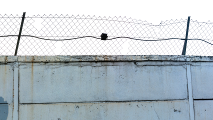 Download Stock Image: Security Wall HD 7K