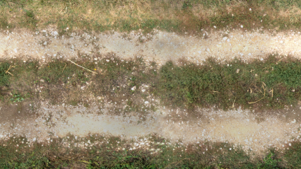 Download Stock Image: Road Texture HD 7K