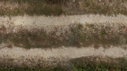 Download Stock Image: Road Texture HD 7K